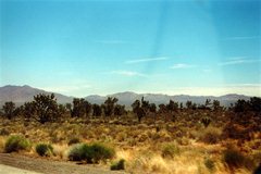 Mojave Wüste - nur heiß