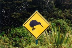Achtung Kiwi als Verkehrsschild