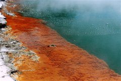 WaioTapu - Champagne Pool am Ufer