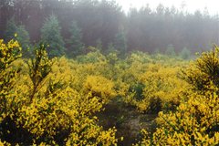 Der Tongariro Nationalpark