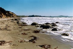 Moeraki - Riesige Steinkugeln im Meer
