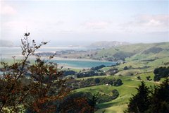 Larnach Castle - Phantastische Aussicht