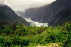 Franz Josef Gletscher im Regenwald