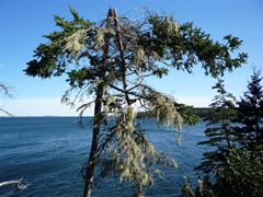 Owl's Head Lighthouse - Rockland (ME)