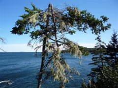 Owl's Head Lighthouse - Rockland  (ME)