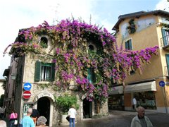 Sirminone (Lago di Garda)