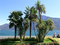 Limone (Lago di Garda)