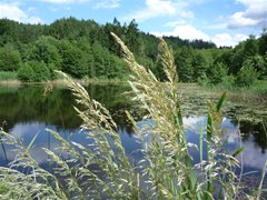 Burgruine Landskron