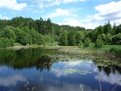 Burgruine Landskron