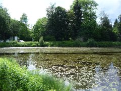 Burgruine Landskron