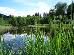 Burgruine Landskron