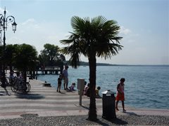 Lazise