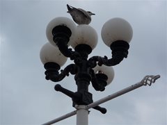 Brighton Pier