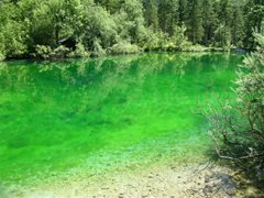 Bluntautal (Golling-Salzburg)