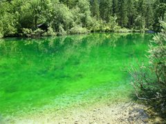 Bluntautal (Golling-Salzburg)