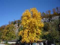 Zoo Salzburg