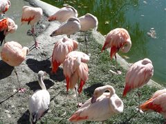 Zoo Salzburg