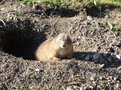 Zoo Salzburg