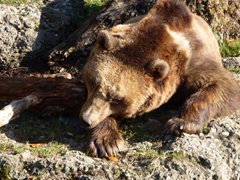 Zoo Salzburg