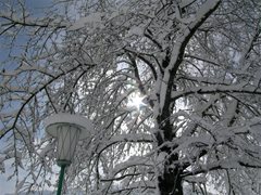 Winterlandschaft Ossiachersee