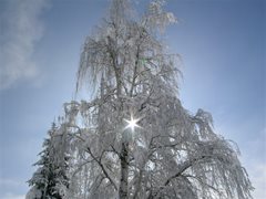 Winterlandschaft Ossiachersee