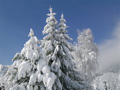 Winterlandschaft Ossiachersee