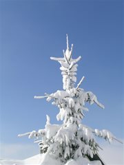 Winterlandschaft Ossiachersee