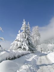 Winterlandschaft Ossiachersee