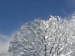 Winterlandschaft Ossiachersee