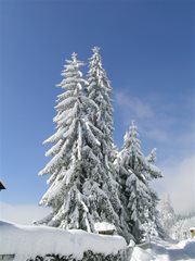 Winterlandschaft Ossiachersee