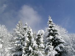 Winterlandschaft Ossiachersee