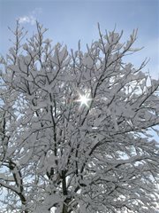 Winterlandschaft Ossiachersee