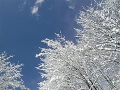 Winterlandschaft Ossiachersee