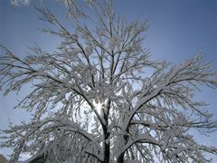 Winterlandschaft Ossiachersee