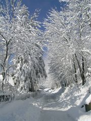 Winterlandschaft Ossiachersee