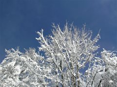 Winterlandschaft Ossiachersee