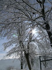 Winterlandschaft Ossiachersee