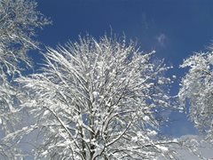 Winterlandschaft Ossiachersee