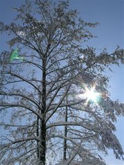 Winterlandschaft Ossiachersee