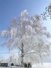 Winterlandschaft Ossiachersee