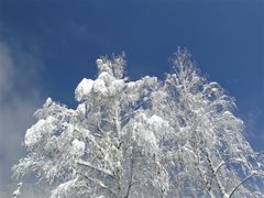 Winterlandschaft Ossiachersee