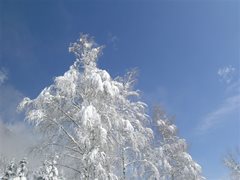 Winterlandschaft Ossiachersee