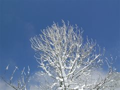 Winterlandschaft Ossiachersee