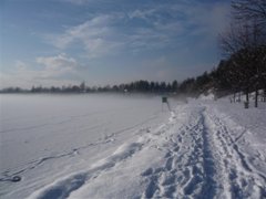 Silbersee - Villach