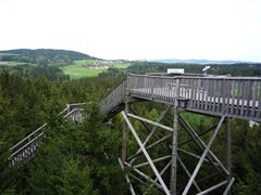 Baumkronenweg