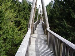 Baumkronenweg