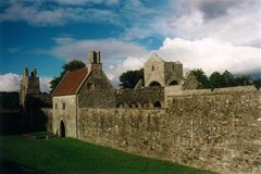 Boyle Abbey