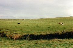 Cliffs of Moher