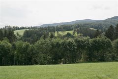 Turmbauerweg