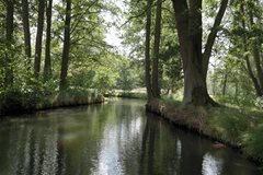 Burg-Kauper (Spreewald)